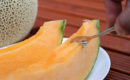 【2024年7月上旬～発送】富良野メロン『NORTH PREMIUM』1玉 約2kg以上 北海道 ふらの (NORTH FUN) メロン フルーツ 果物 新鮮 甘い 贈り物 ギフト 道産 ジューシー 