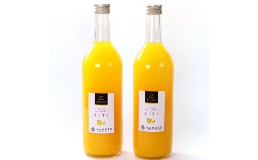 無添加 はっさく ジュース 720ml×2本 【ikd253】