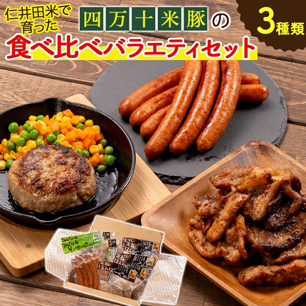 【ふるさと納税】 仁井田米で育った「しまんと米豚の食べ比べバラエティセット」合計1870g Qjs-22 豚肉 米豚 豚肉セット ハンバーグ ソーセージ スタミナ漬け