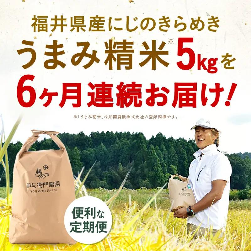 【先行予約】【令和8年産】 定期便 ≪6ヶ月連続お届け≫ にじのきらめき うまみ精米 5kg×6回／ 鮮度抜群 30キロ 福井県あわら産 お米 ※2026年10月上旬より順次発送 [aw071-f00
