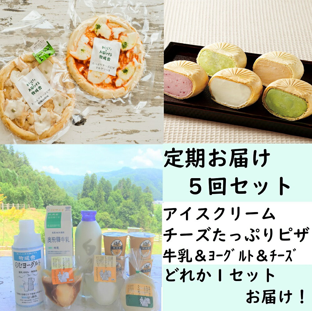 【ふるさと納税】＜牧成舎＞定期お届けセットA（5か月間コース）