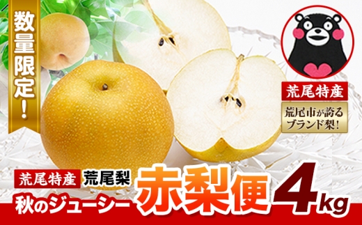 梨 荒尾梨 あきづき または 新高 ジューシー赤梨便 4kg 品種 なし フルーツ 果物 旬 《2026年8月下旬‐11月中旬頃出荷》熊本県 荒尾市 旬の梨 （品種指定不可）