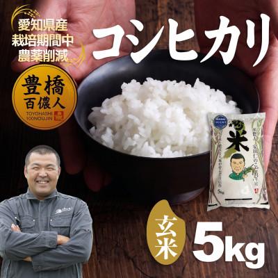ふるさと納税 豊橋市 【栽培期間中農薬削減】令和7年産 コシヒカリ玄米5kg 愛知県 豊橋市 産地直送