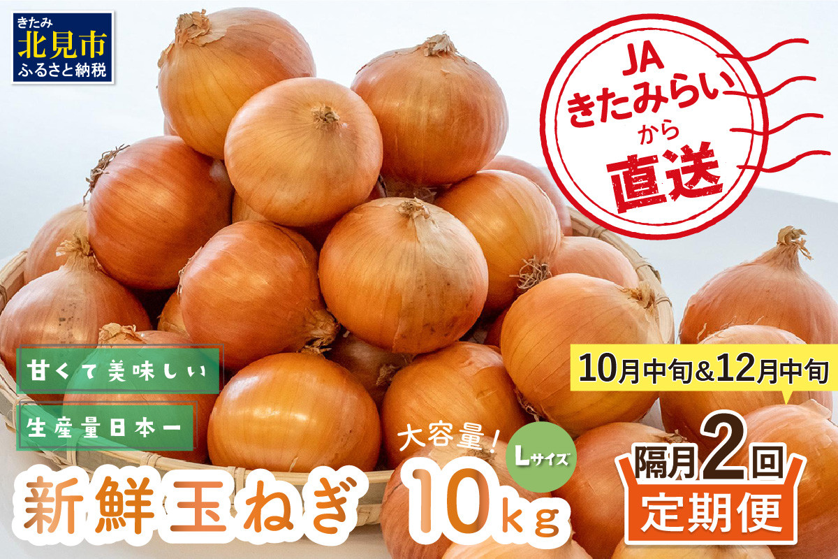 
            ☆L玉隔月定期便(10月・12月)☆JAきたみらいから直送する新鮮玉ねぎ 10kg(L)×2回 ( 野菜 定期便 玉葱 たまねぎ 期間限定 )【999-0006-2025】
          