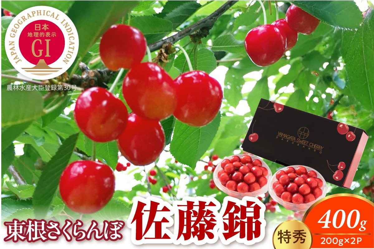 
                  【2027年産 先行予約】GI 規格 佐藤錦200g×2P 特秀 L以上 山形県 東根市 千笑花夢提供 hi082-062-r9 さくらんぼ 期間限定 先行予約 ご当地 特産 産地 直送 人気
                