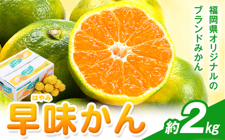 みかん 早味かん 約2kg 南国フルーツ株式会社【26年度出荷】《9月中旬-9月下旬頃出荷》福岡県 小竹町 福岡県産 みかん 早味かん フルーツ 果物