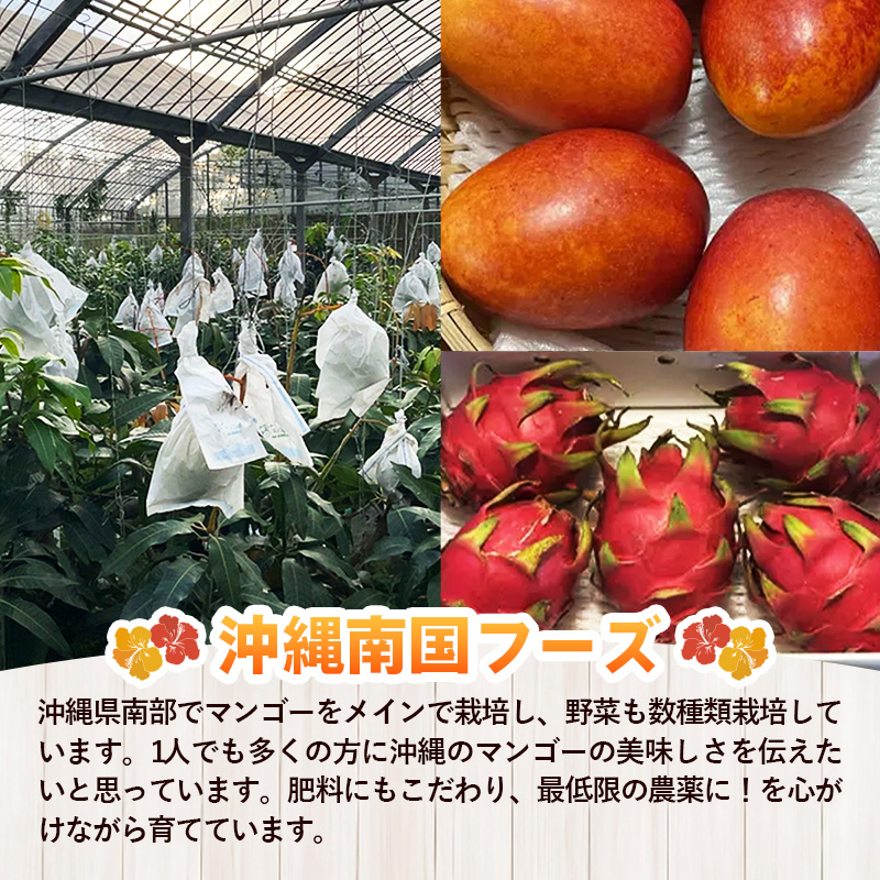 国産 希少種！南国フーズのアップルバナナ 約5kg - ばなな 小ぶり 沖縄県産 産地直送 果物 フルーツ 朝食 おすすめ 八重瀬町_イメージ4