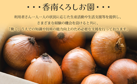 玉ねぎ 10kg 家庭用 野菜 高知 大小混合 【玉ねぎ 玉葱 タマネギ 玉ねぎ 高知県 たまねぎ 玉ねぎ 玉ねぎ 玉ねぎ 玉ねぎ 玉ねぎ】 高知県 香南市 ke-0038