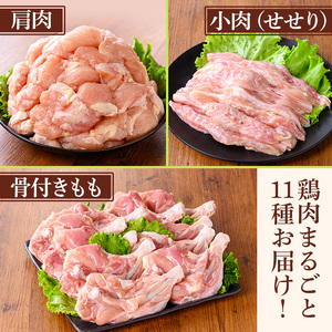y539 鹿児島県産若鶏まるごとセット(合計3.05kg) 国産 鶏肉 鳥肉 肉 若鶏 お肉 もも肉 モモ肉 むね肉 ムネ肉 胸肉 ささみ ササミ 筋なし 砂肝 肝 手羽先 キチンリブ 手羽元 肩肉 