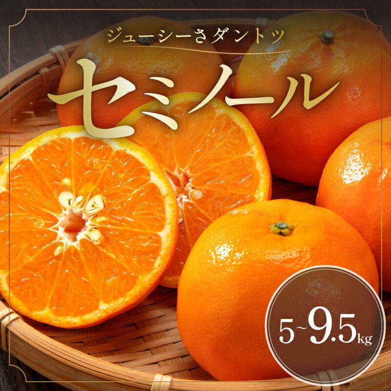【ふるさと納税】【4月下旬より発送】ジューシーさダントツ！ ミカファーム オレンジ セミノール 5kg 9.5kg 三重県 御浜町産【驚くほどジューシー！口に入れた瞬間甘さが溢れます】