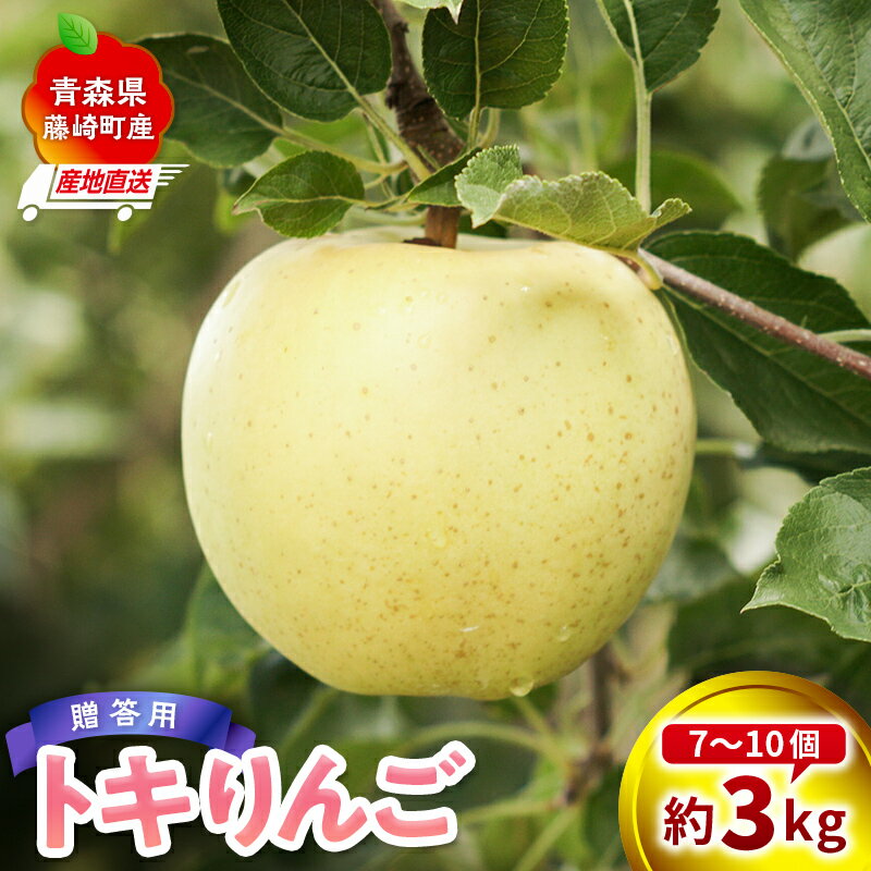 【ふるさと納税】＜産地直送＞ トキ 贈答用 約3kg （7〜10個）【前田農園】 青森りんご リンゴ 林檎 アップル 果物 くだもの フルーツ F41-0083