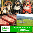 【ふるさと納税】滋賀県甲賀市の対象施設で使える楽天トラベルクーポン 寄付額10,000円