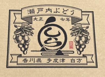【令和6年8月中旬頃発送！予約受付中】島田農園　ピオーネ2kg（3房～4房入り）【A-78】