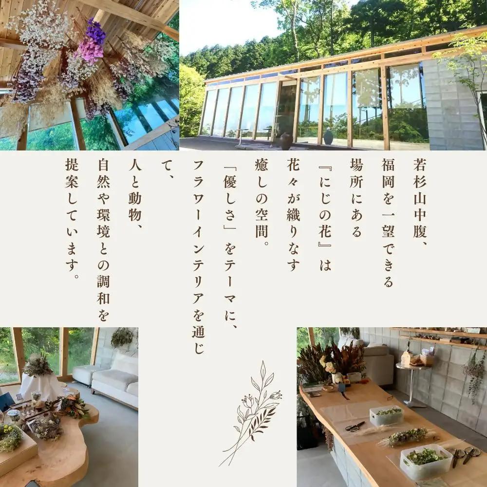 ドライフラワー季節の花定期便（年3回）（白・グリーン、ピンク、おまかせ）の3種よりランダムにお届け  XY003