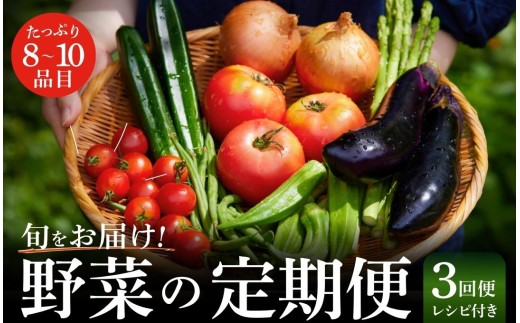季節の野菜定期便 野菜 3回便 新鮮 採れたて 旨い やさい 定番野菜 セット 定期便 野菜 野菜詰め合わせ じゃがいも きのこ トマト とうもろこし アスパラガス 玉ねぎ 詰め合わせ 南伊豆 伊豆 静岡県 ふるさと納税　<BC-85>