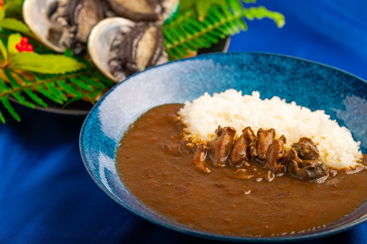 
和歌山のアワビ屋さんがつくったあわびカレー 【170g×3袋】＜日付指定OK＞
