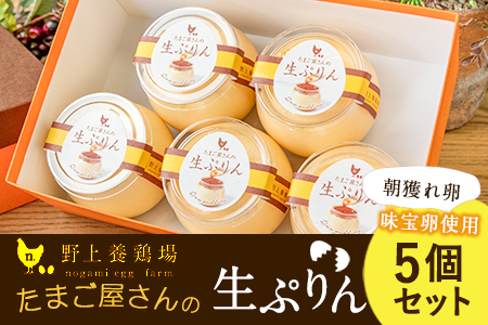 たまご屋さんの生ぷりん5個セット (150ml×5個) 送料無料 野上養鶏場《60日以内に出荷予定(土日祝除く)》味宝卵使用 プリン