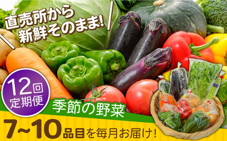 【12回定期便】野菜定期便 7?10品目 / ながさき南部 [SBW005] 