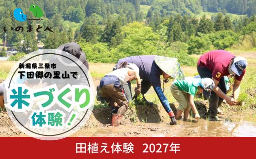田植え体験 2027年 新潟県三条市 下田郷の里山で米づくり体験！農業体験 親子 ファミリー 食育 自然 環境教育 コシヒカリ ランチ ネイチャーゲーム【033S063】