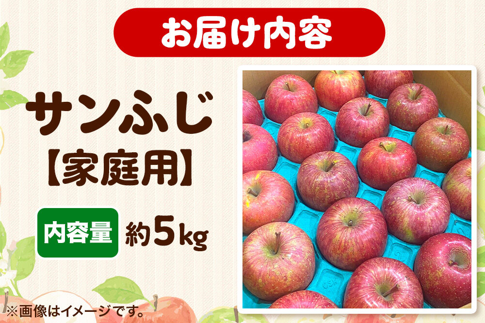 【26年12月発送】りんご サンふじ【家庭用】約5kg 糖度13度以上 先行受付 青森県 弘前市 果物 フルーツ 林檎 リンゴ くだもの 不揃い 規格外 [先行予約 産地直送 アップル おいしい 果実