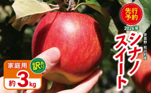 【2026年先行予約】訳あり 家庭用 シナノスイート 約3kg ｜ 山とりんご リンゴ りんご 林檎 果物 フルーツ 果実 果汁 シナノスイート しなのすいーと 家庭用 長野県 松川村 北アルプス 信州
