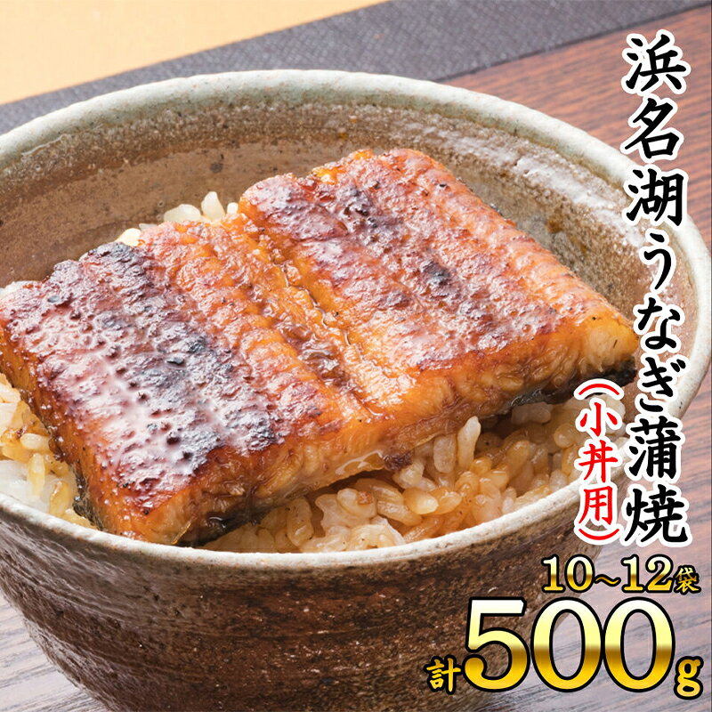 【ふるさと納税】浜名湖うなぎ蒲焼 冷凍 【訳あり】 計500g 10～12袋 サイズ不揃い 小丼用 加工品 養殖 老舗 手焼き 百貨店 カット 湯せん レンジ 食べきり 便利 調理 土用の丑の日 冬うなぎ 鰻 ウナギ 蒲焼のたれ 山椒 簡単 静岡県浜松市 ギフト 美味しい