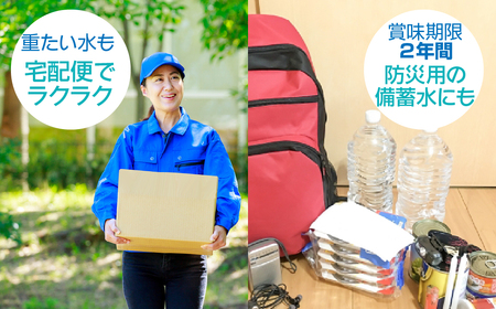 【12ヶ月定期便】富士山麓 四季の水／500ml×2箱・ミネラルウォーター SWAB015水 ミネラルウォーター 定期便 定期 500ml 500ミリリットル 水 ミネラルウォーター 定期便 定期 5