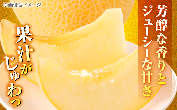 ゴールデンパールメロン1.3kg×2玉 島根県松江市/有限会社安藤農園 [ALID011]