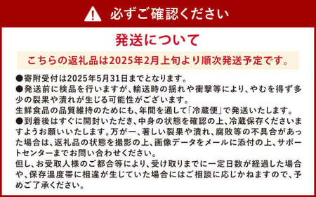 【 食べ比べ 】ソムリエ トマト 1.3kg と ソムリエ ミニトマト ダイヤ 1kg の セット 合計2.3kg 2種 とまと 野菜 やさい 熊本県産 国産 【2025年2月上旬発送開始】