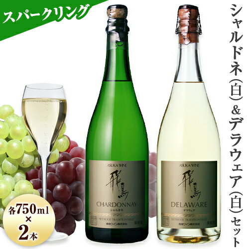 【ふるさと納税】スパークリング ワイン 飛鳥シリーズ スパークリング シャルドネ ＆ スパークリング デラウェア セット 750ml × 2本 (株)飛鳥ワイン《30日以内に出荷予定(土日祝除く)》大阪府 羽曳野市 飛鳥シリーズ アルコール ワイン スパークリングワイン 白 酒