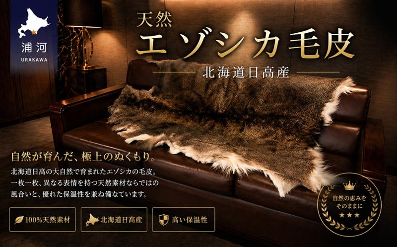 
                  【北海道日高産】天然エゾシカ毛皮[56-1616]
                