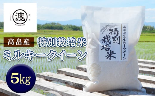 
            ≪2025年先行予約≫令和7年度産 山形県高畠産特別栽培米 ミルキークイーン 5kg F21B-399
          