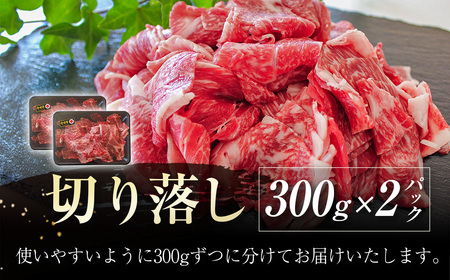 【３ヶ月定期便】宮崎牛  切落とし　600g×3回  A4等級以上 ブランド 内閣総理大臣賞4連覇　国産牛肉＜3.5-17＞