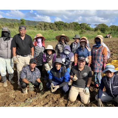 ふるさと納税 西之表市 中園ファームの熟成安納芋の黄金塩けんぴ |  | 02