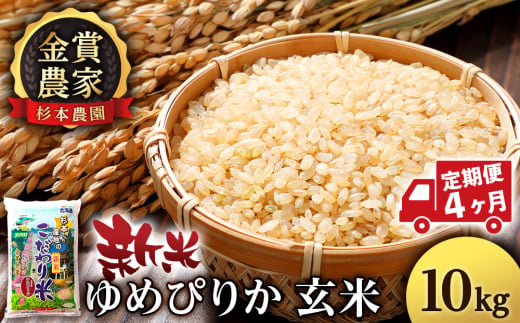 【新米予約】【定期便4回】ゆめぴりか玄米10kg≪杉本農園≫