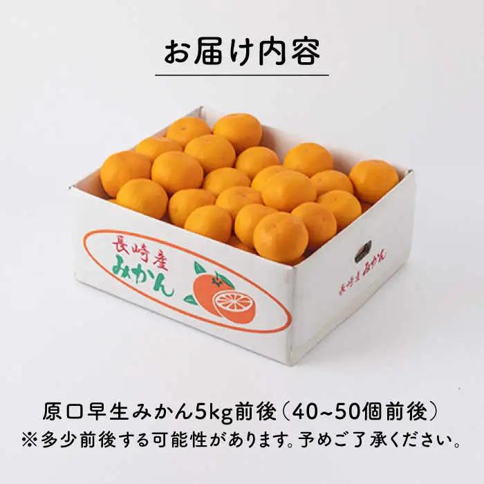 【先行予約】原口早生 みかん 約5kg [OCU003] みかん