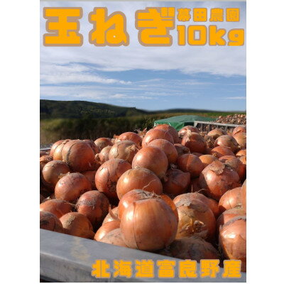 【ふるさと納税】【2026年10月以降発送】北海道　富良野産　玉ねぎ　約10kg【1643940】