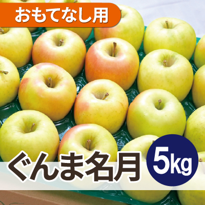 
                  ＜26年1月より順次発送＞平均糖度13度以上! ぐんま名月 約5kg おもてなし用【1610351】
                