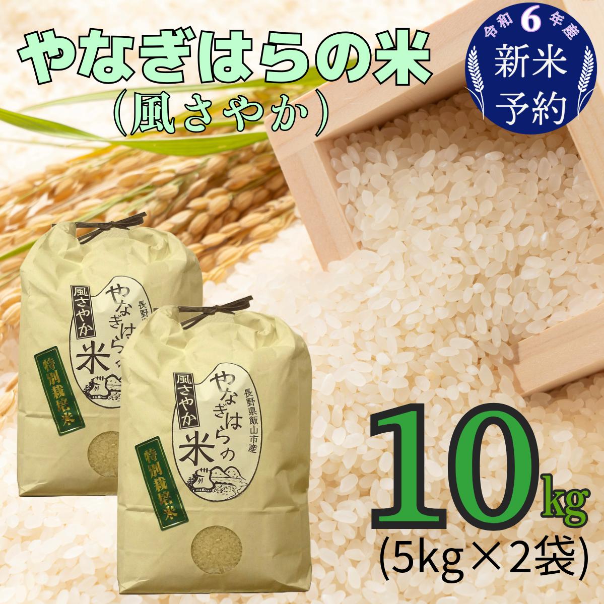 【令和6年産 新米予約】 「やなぎはらの米　風さやか」10ｋｇ (6-42)