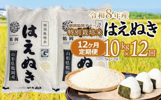 【令和8年産先行予約】 特別栽培米はえぬき 精米10kg (5kg×2袋)×12ヶ月【定期便】　鶴岡協同ファーム