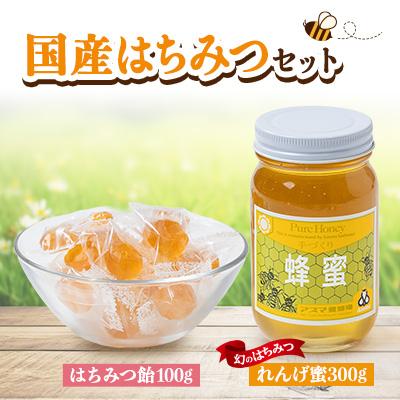 ふるさと納税 富田林市 国産蜂蜜セット(れんげ蜜とはちみつキャンディ) はちみつと飴の詰合せ