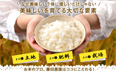 【令和7年産】お米ななつぼし5kg×2袋（精米）【AO-029】