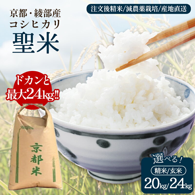 【ふるさと納税】【令和7年産】京都府産 コシヒカリ「聖米」 20kg / 24kg（精米・玄米）選べる内容量 国産米 京都府綾部市