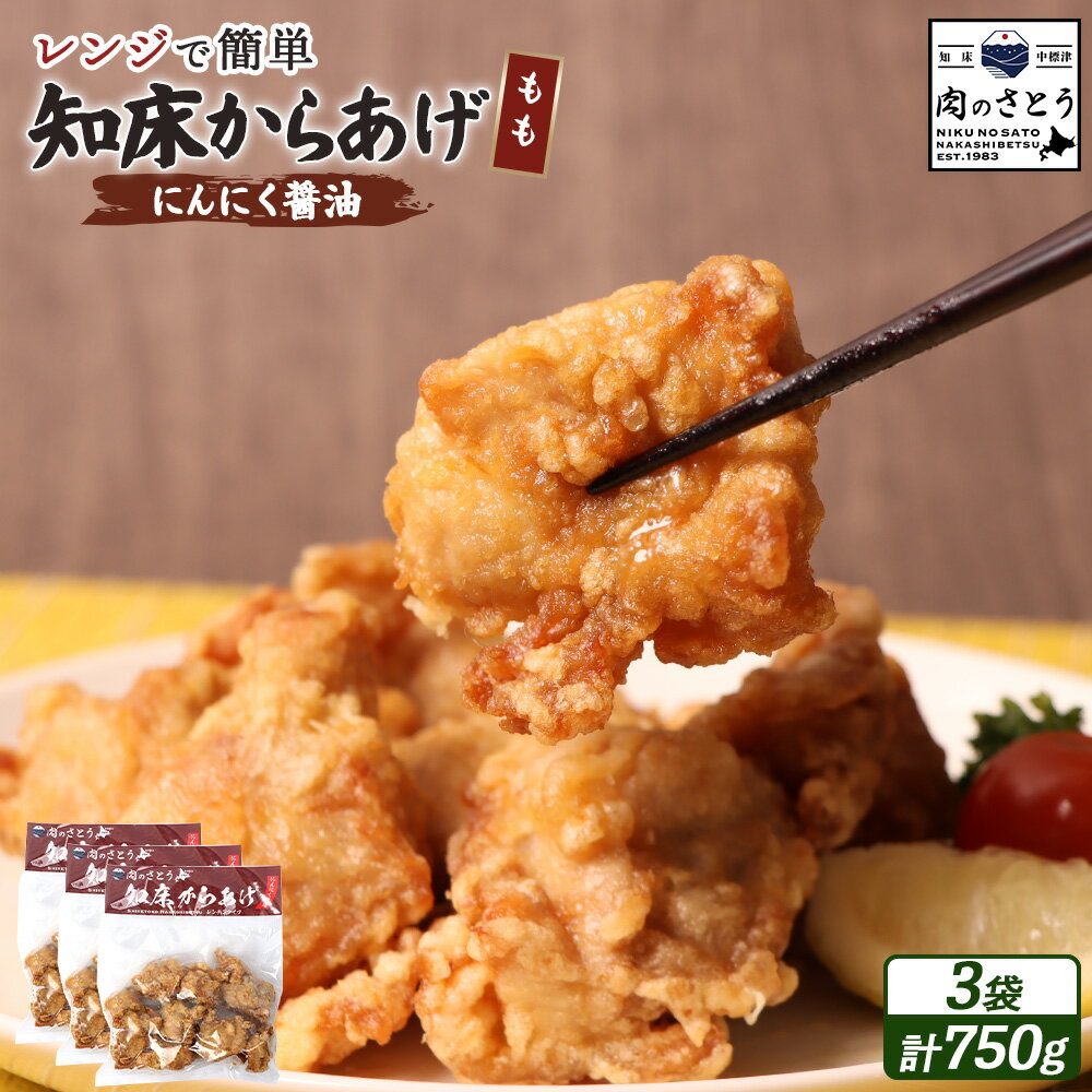 【ふるさと納税】【レンジで簡単】知床からあげ【にんにく醤油】もも肉750gセット | 唐揚げ 250g×3パック にんにく 醤油 レンチン 揚げたて 冷凍食品 時短 調理 鶏 ザンギ おかず 惣菜 弁当 専門店 店の味 北海道 中標津町 中標津【35027】