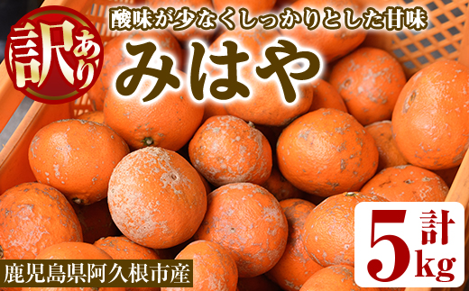 ＜先行予約受付中！2026年12月以降順次発送予定＞＜数量限定・訳あり＞みはや(約5kg) 国産 鹿児島県 阿久根市 果実 果物 フルーツ 柑橘 みかん ミカン デザート 酸味 甘味 期間限定 数量限定【桐野柑橘株式会社】akn070-01