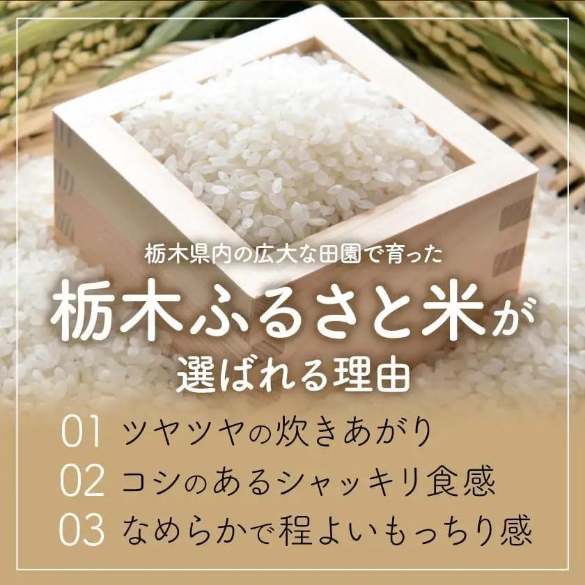 令和7年度産 米 栃木県産 コシヒカリ 白米 20kg《7-14日以内に出荷予定(土日祝除く)》栃木県 野木町 米 白米 精米 国産 お米 おこめ お弁当 おにぎり【栃木県共通返礼品】