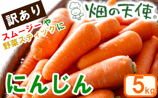 【予約受付】農薬・化学肥料不使用 《自然のまま》にんじん 5kg 2026年1月から配送