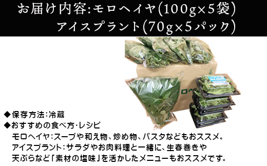『先行予約』【12月上旬より順次発送】冬穫れハウスモロヘイヤ(100g×5袋)とアイスプラント(70g×5P)セット ネバネバ 高栄養価 プチプチ 新体験 定番おひたし 和洋中の各種スープ お肉・お魚