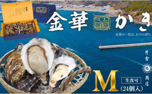 金華かき 女川オイスターファーム レギュラーサイズ 生食可  かき 牡蠣 カキ オイスター 生牡蠣 殻付きカキ 宮城産牡蠣 女川産牡蠣 金華牡蠣 岩沼市