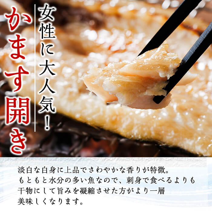 ＜定期便・全4回＞ギフト用品質！九州産 ひもの 季節の 定期便 (総計35枚) 定期 干物 鯛 かます さば サバ あじ アジ 開き 魚 海鮮 冷凍 ひもの 小分け 惣菜 おかず セット ギフト 贈り